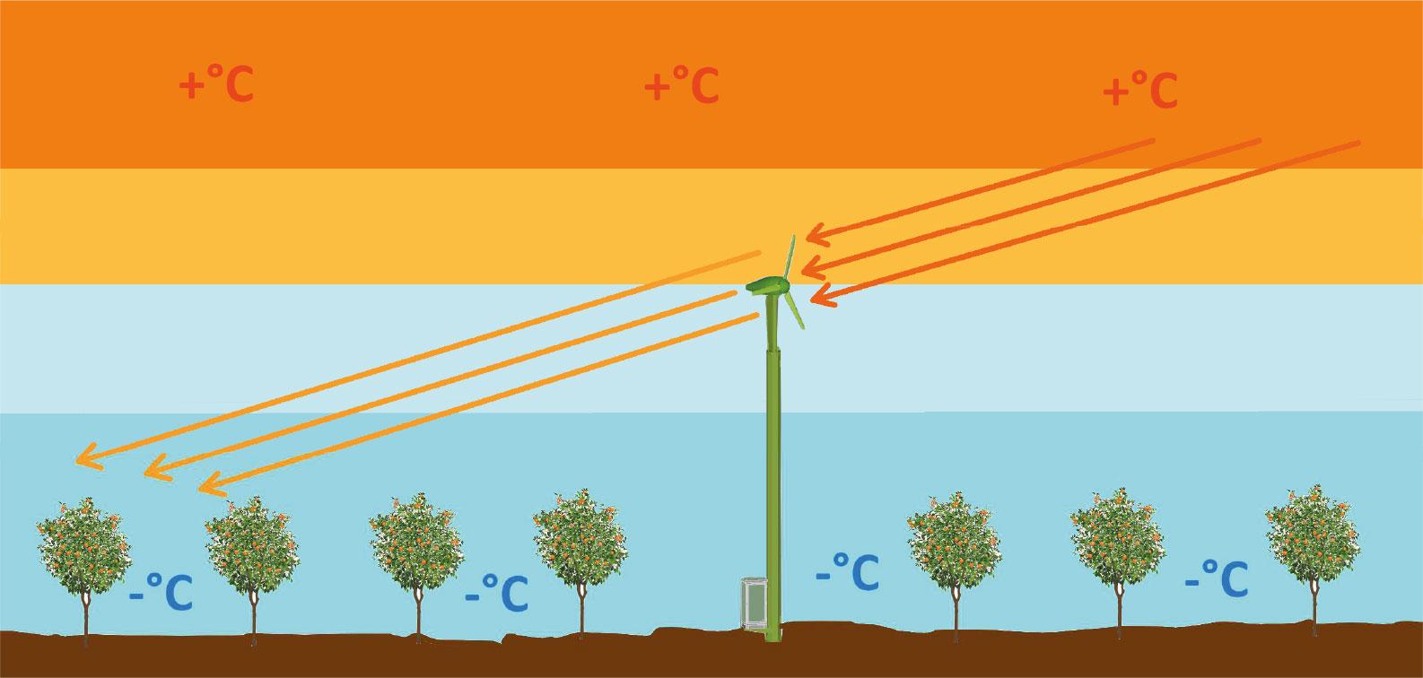 Esquema del fabricante: la torre antihelada toma el aire cálido de la capa de inversión térmica y lo proyecta sobre el cultivo