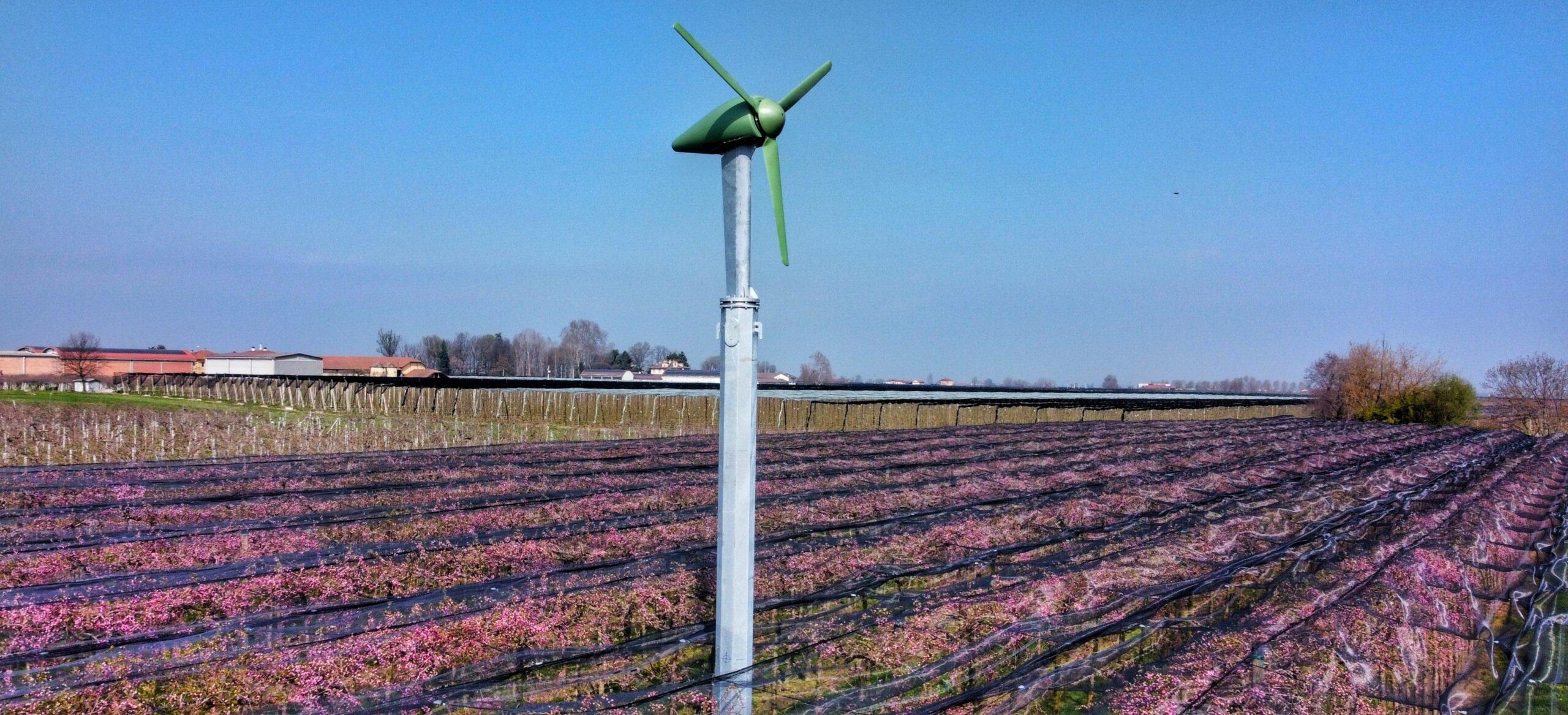 Torre Antibrina 3-22 en instalación fija con el frutal en plena floración