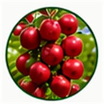 Frutales