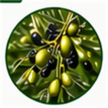 Olivos