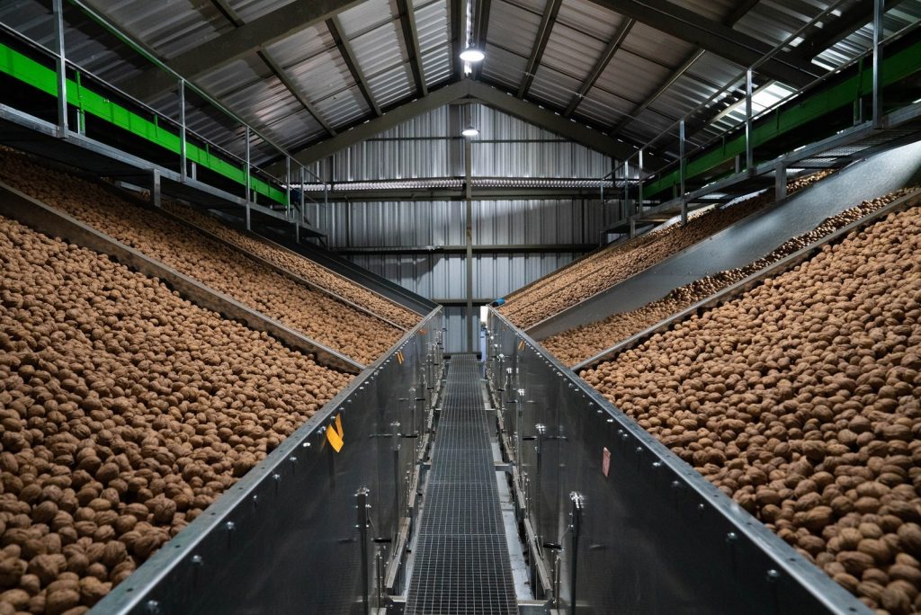 SATGarden y Obreo se alían para distribuir en España líneas completas de procesado de nuez y pistacho