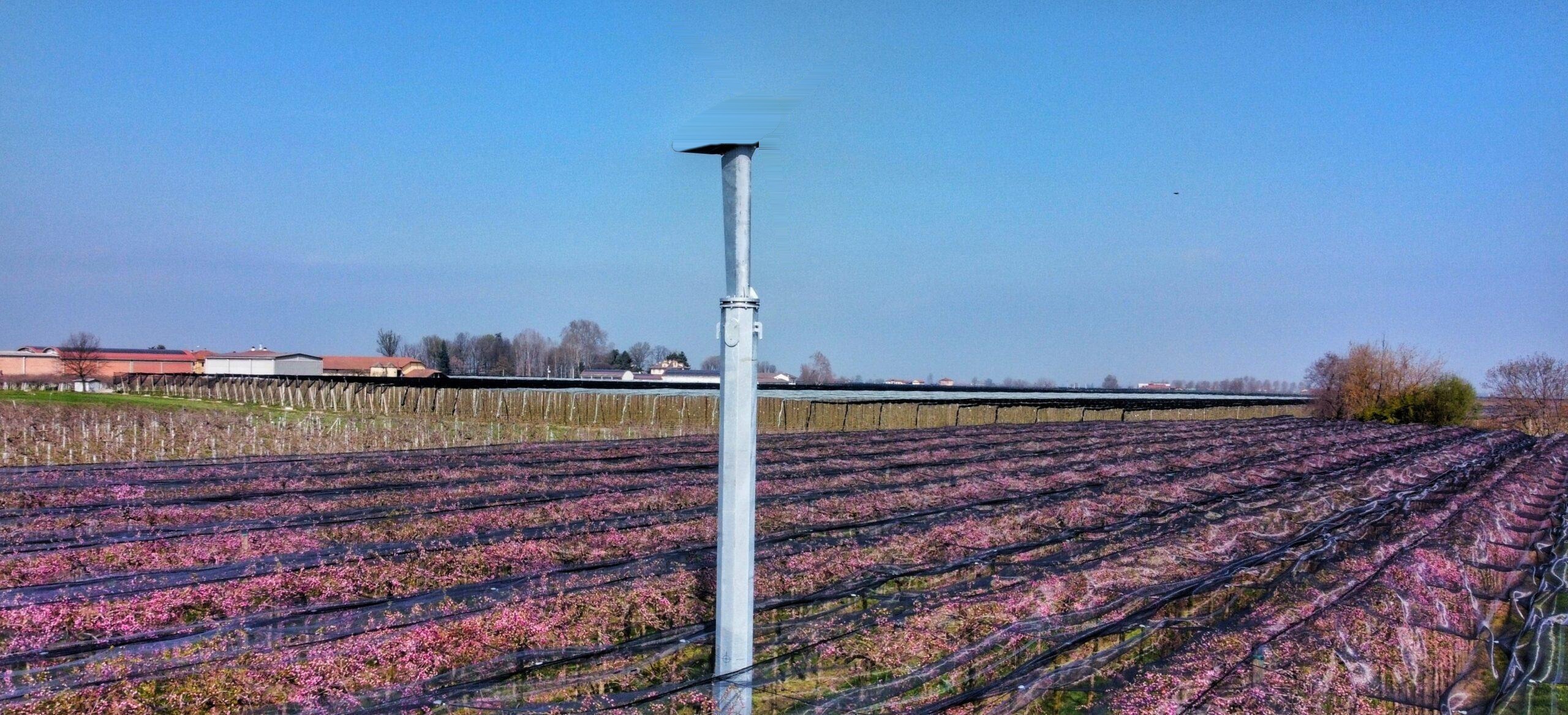 Torre antiheladas Antibrina 3-22 en instalacion fija, con el frutal en floracion